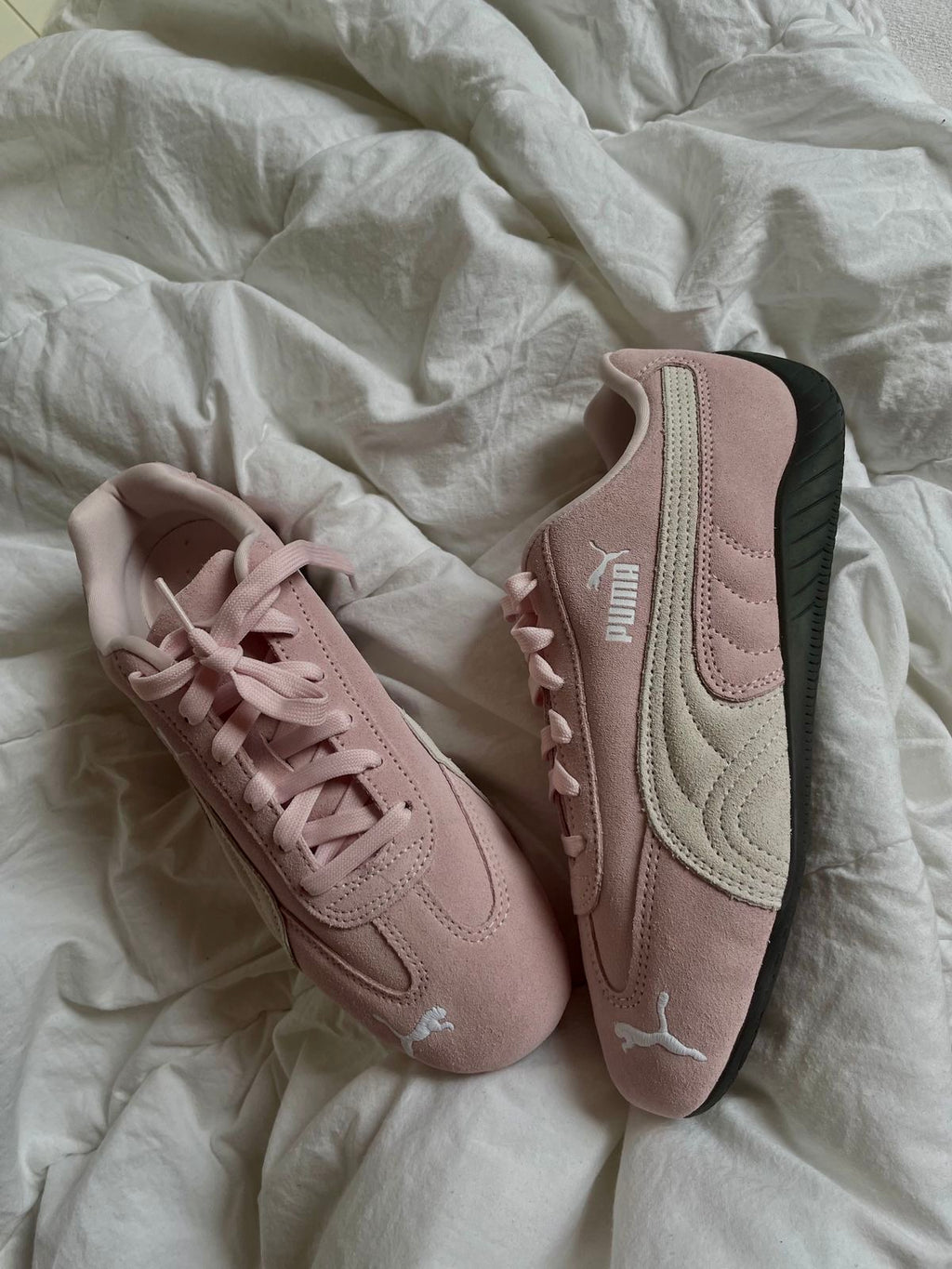 PUMA SPEED CAT (Pink)